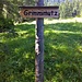 Viele Wegweiser weisen den richtigen Weg ;)