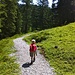 Der Weg steigt langsam an, später doch auch recht steil