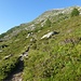 oberhalb der Alp Ca d'Starnam auf schönem Wanderweg