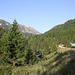 <b>All'Acqua, 24.7.2012.<br />Partiamo alle 7:30 dal Parcheggio Cacciatori. Superato il ponticello sul fiume Ticino ci addentriamo nel bosco rado dell’Alpe Formazzora. </b>