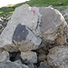 Ein weiterer spannender Stein. Hier sind zwei Schichten unterschiedlicher Kalkarten zu Einem 'verschmolzen'. PS: Die roten kleinen Steine weisen die Besucher auf die Posten hin.