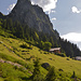 hübsche Höckli im Aufstieg zur Alp Oberchäseren