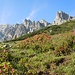 Haufenweise Alpenrosen blühen unter der wilden Felsszenerie