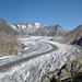 ... der längste Eisstrom der Alpen