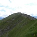 Riebenkofel,2386m,in die kleine grune Scharte rechts im Bild, kurzer Abstieg ins Karlahn.