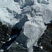 Bei dem ganzen Eis-Chaos blieb der Gletscher an diesem Nachmittag erstaunlich ruhig. Kein Gepolter oder Eislawinen.