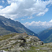 oberhalb Plattjen mit Blick zu den Berner Alpen