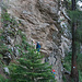 Impressionen vom Steig