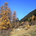 Immer noch Herbst im Oberhalbstein - Start in Tinizong