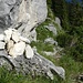 Der Beginn des Pü-Abstiegs mit großem Steinhaufen