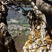 Durchblick