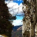 Durchblick auf die Hänge des Monte Bar