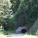 Tunnelportal Sihlsprung.