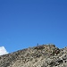 [u dominik] auf dem Kleinen Bigerhorn