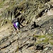 Im unteren Teil der Route.