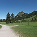 Gemütlicher Weg zurück zur Talstation; hinten die Hornburg (1172m)