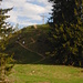 Die letzten Meter zum Stoffelberg (1063m)
