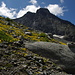 Das hübsche Hübschhorn