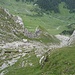 Abstieg Bärenstock NW-Flanke