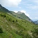 Auf den letzten Metern vor der Musenalp