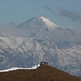 Hikr united on the top of the world (Amelier), dahinter thront der Altels