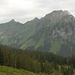 Aussicht über das Oberseetal zum Zindlenspitz - Rossalpelispitz  und Brünnelistock