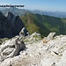 Abstieg Richtung Hirscheggsattel