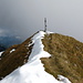 Gipfel des Schopfenspitz 2104m