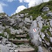 Ein steiler, hochtrittiger Abstieg führt vom Kaisereggpass zurück in Richtung Riggisalp
