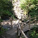 hübsche Holzbrücke bei der Prossliner Schwaige