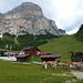 Edelweisshütte mit Pferden, Sassongher im Hintergrund