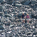 Willem und Nanet im losen Geröll
