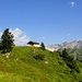 Gestüt-Alpe - vor Braunarlspitze