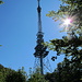 Der von weitem sichtbare Funkturm an der höchsten Stelle des Geissbergs.