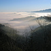 Nebel über dem Appenzellerland