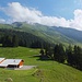 Die Alp Trauboden und das Laub