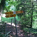im Hintergrund der nicht markierte Weg zum Alten Rigiweg