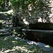 Alter Brunnen kurz oberhalb Borgonovo