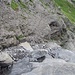 Das letzte kritische Wegstück im Abstieg vom Chlitalerfirn vor der Musenalp