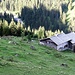 Rinderer Alpe