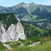 Blick von der Wang Alpe über die Wandfluh auf die andere Talseite