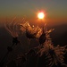 "Warmes Licht" bei Sonnenaufgang, obwohl es saukalt ist am Gipfel.