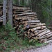 Am Ende der Forststraße kurz vor dem Bergsteigerparkplatz rege Spuren der Holzernte mit Riesenholzhaufen im bayerischen Staatswald. Der Skeptiker fragt sich, wie stabil die Art der Schichtung denn hier sei....???? Wenn das ins Rollen kommt, sollte man schnell laufen können?