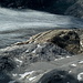 Gletscherzunge Brunegg Gletscher. Unten rechts die Moräne mit meiner Auf- und Abstiegsroute.