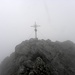 Es war kurz, das Kreuz zu verpassen!Aha,hier ist das Gipfelkreuz des Porze,2599m.
