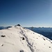 Gipfel Gatschkopf 2945m
