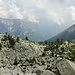 Stolpern und Straucheln, abwechselnd über Geröll und Alpenrosenstauden; aber in einer herrlichen Wildnis, die die Tessiner Bergwelt so einzigartig macht.