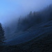 Nebelstimmung am Morgen in den Kitzbüheler Alpen