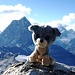 Glubschi auf dem Klein Matterhorn