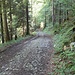 Le chemin forestier de la Rochette... ancien